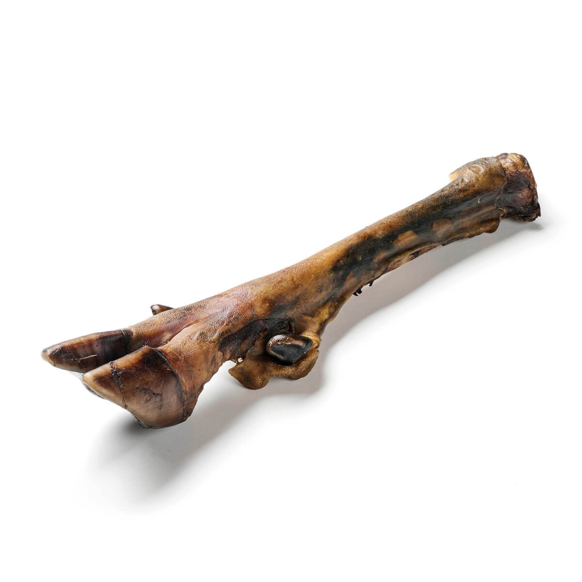 Hirsch Unterbein ohne Fell 1 Stück