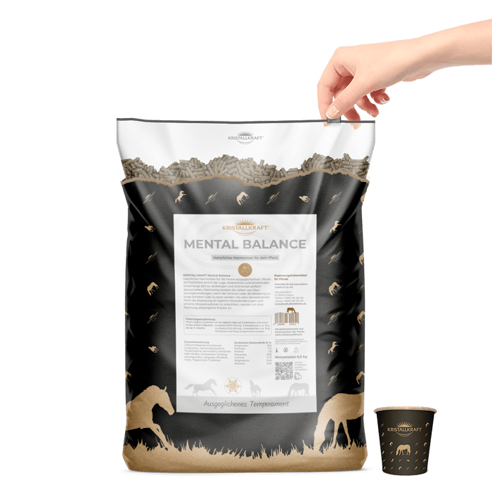 Kristallkraft Mental Balance 6,5kg - Natürlicher Harmonizer