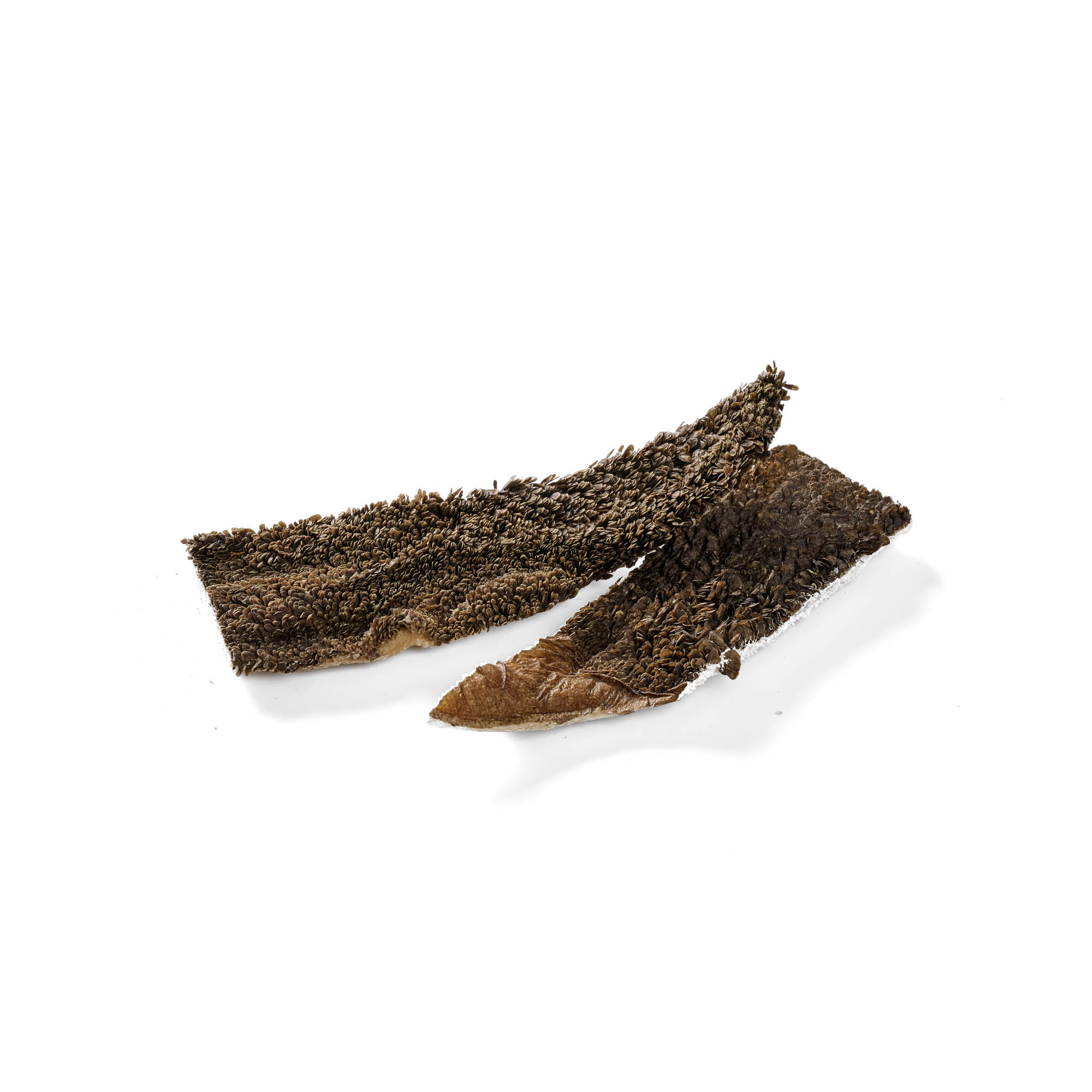 Rinder Pansen grün gefriergetrocknet 100g