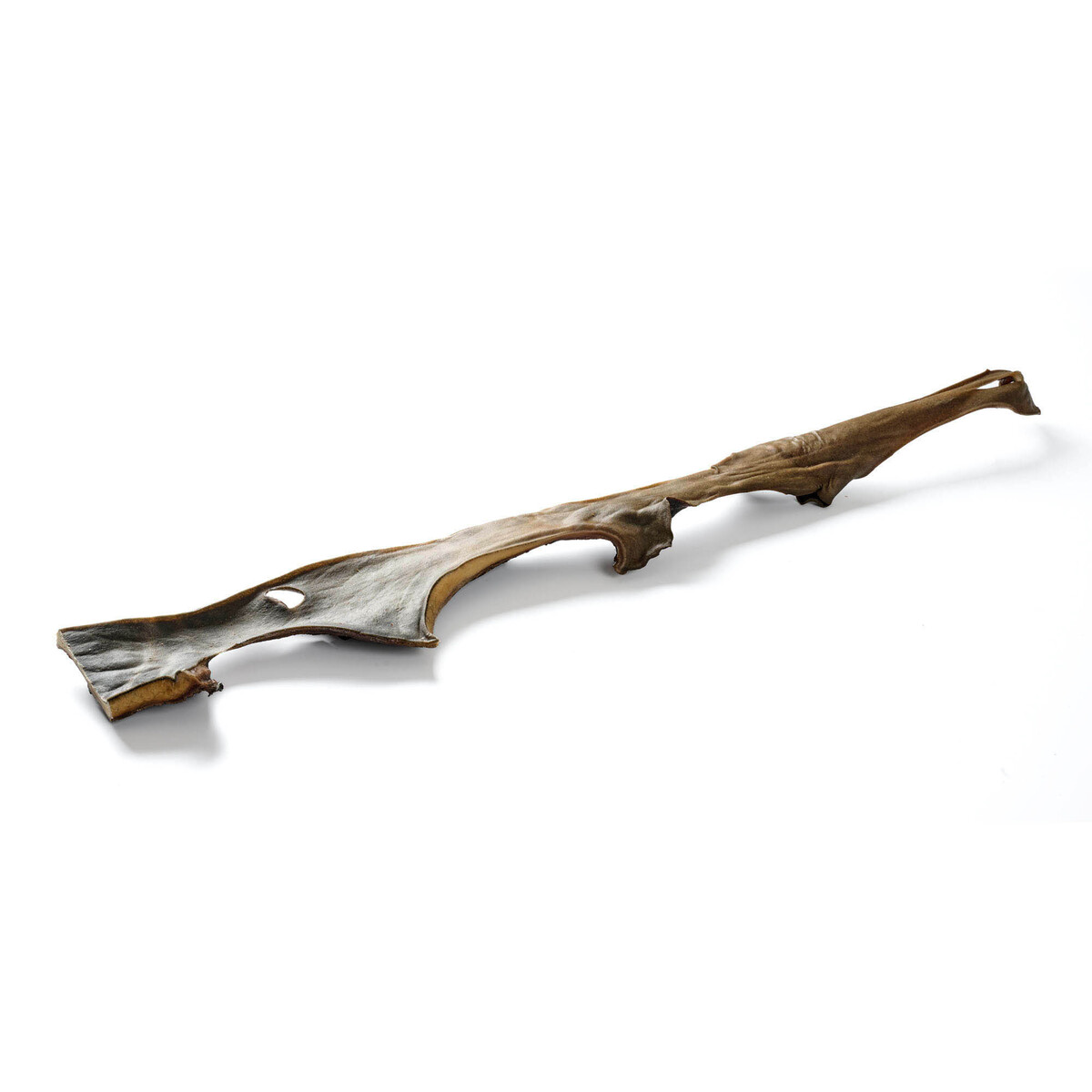 Kamel-Kopfhautstange 1 Stück