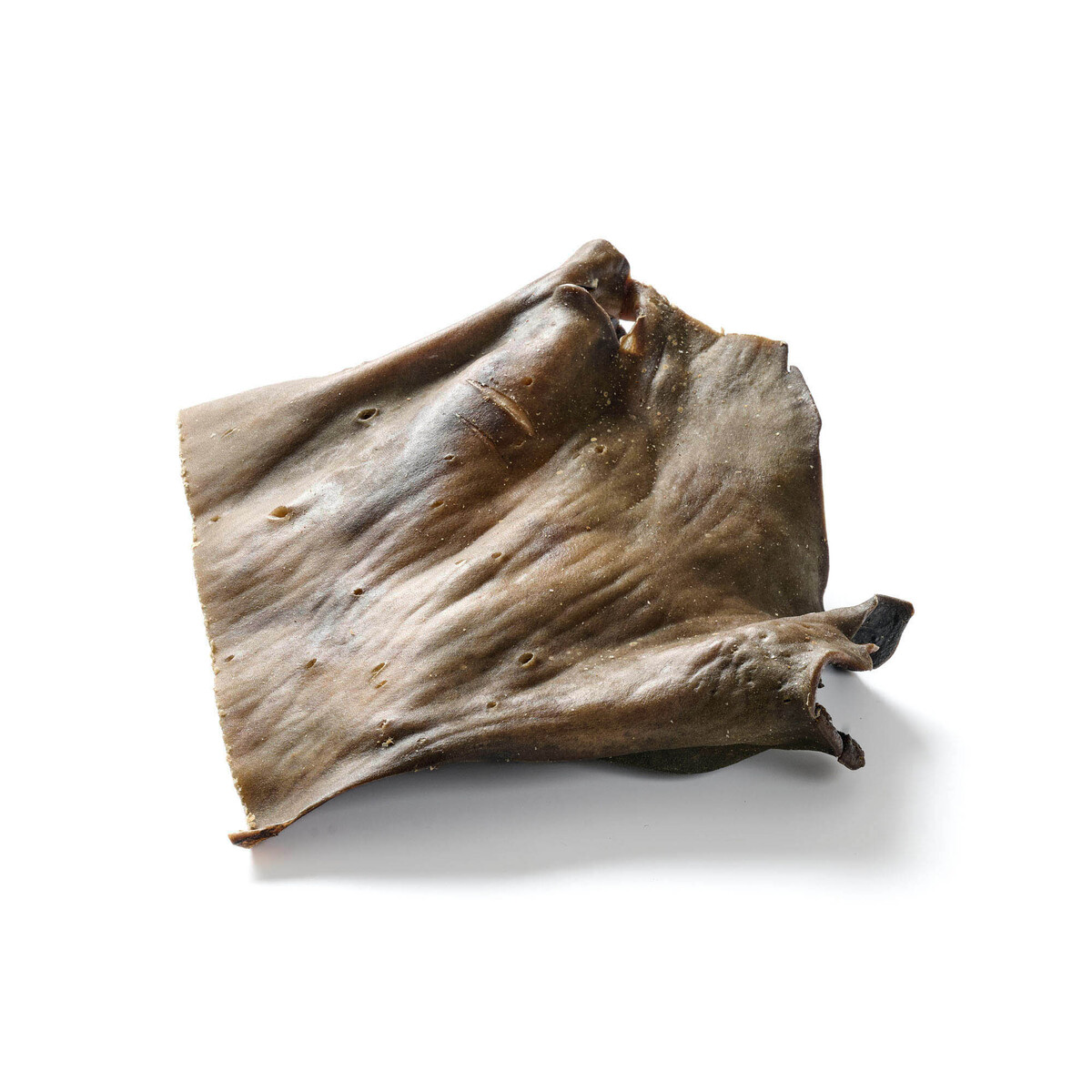 Kamel-Hautplatte 500g