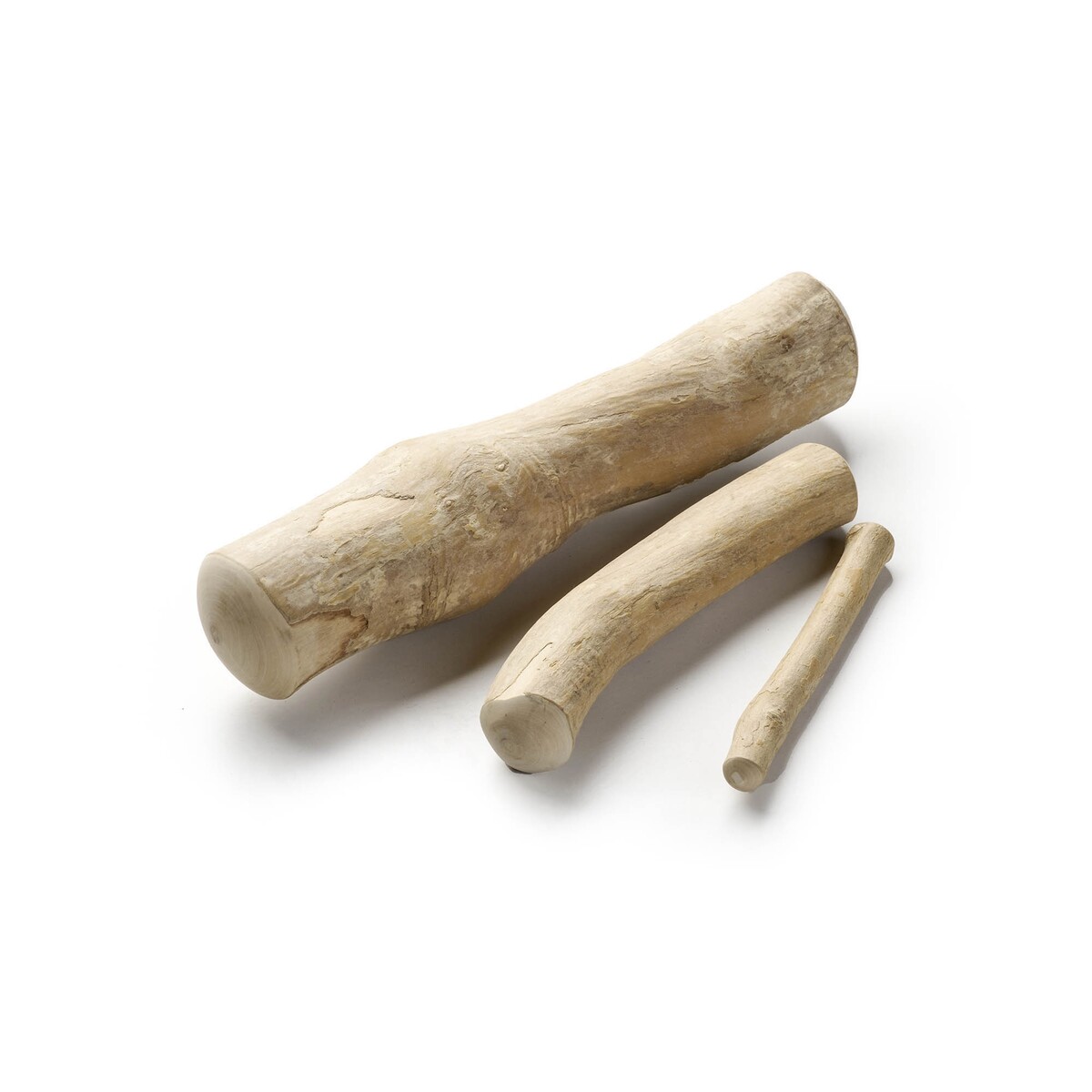 Kaustab aus Olivenholz Gr. L