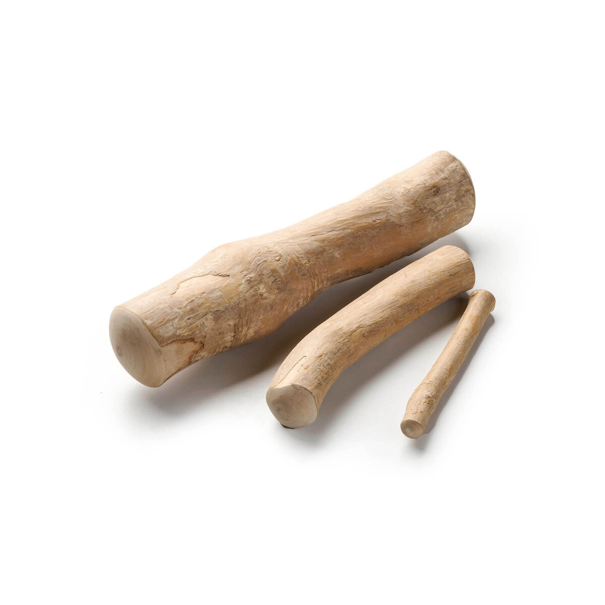 Hunde-Kaustab aus Kaffeeholz  L 1 St