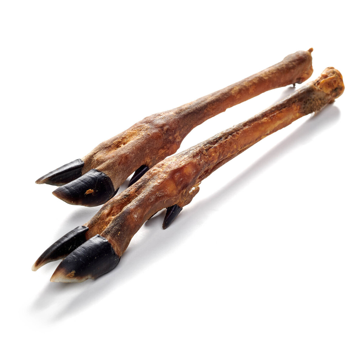 Reh-Unterbein 2 Stück