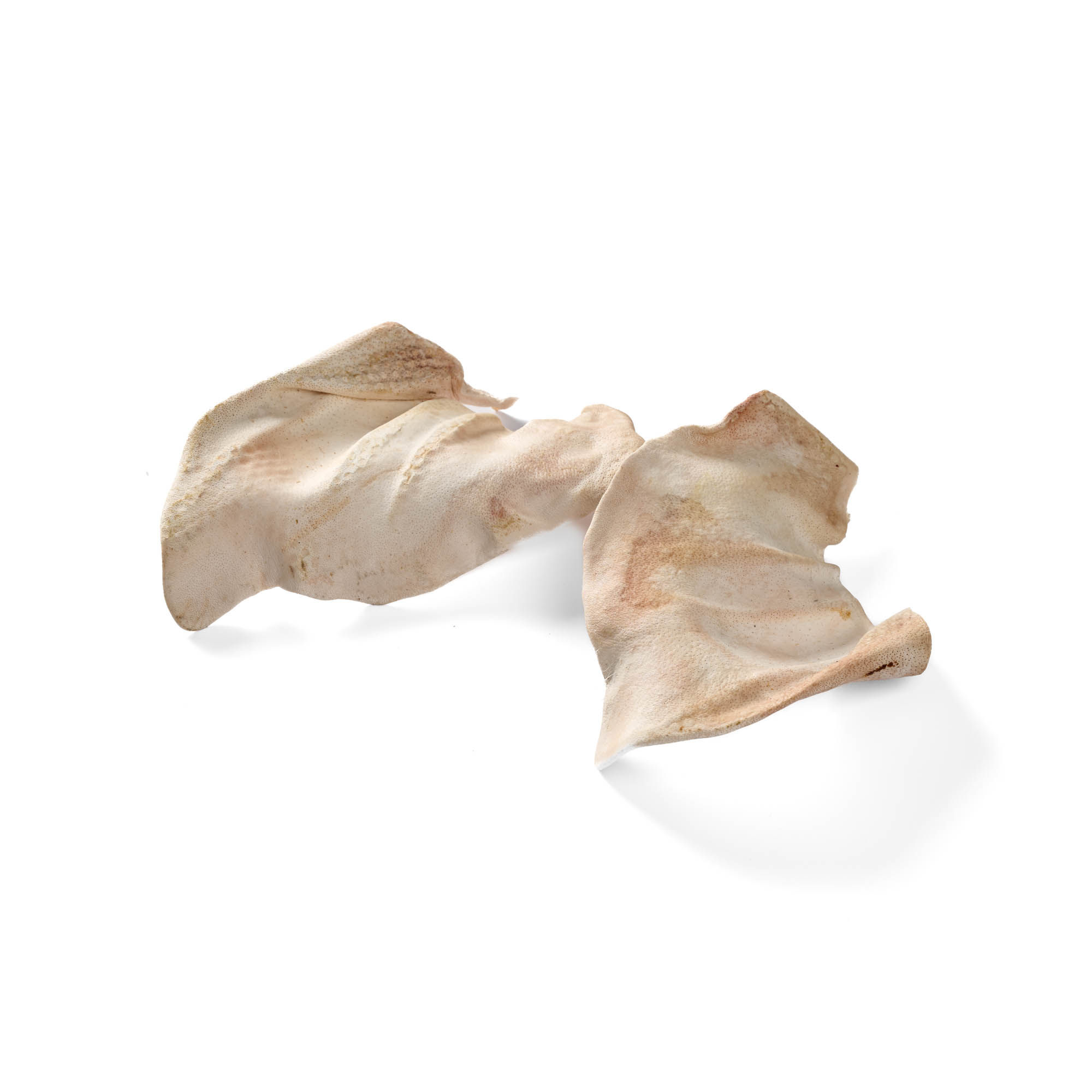 Schweine Ohren gefriergetrocknet 100g